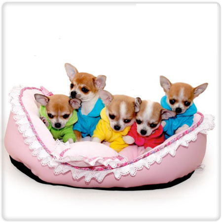 фото Лежак эксклюзив "Ангел" фото Лежак эксклюзив "Ангел"