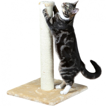 фото Дряпка Parla (Opal) Trixie фото Дряпка Parla (Opal) Trixie