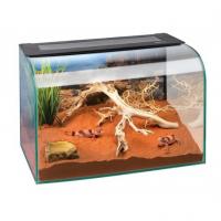 купить Террариум для мелких рептилий Exo-Terra Habisphere, 45х32х30 см.