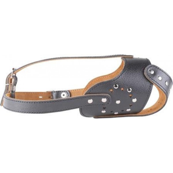 купить Намордник стафф для собак Collar