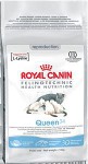 купить Сухой корм для беременных и лактирующих кошек  Queen 34 4 кг