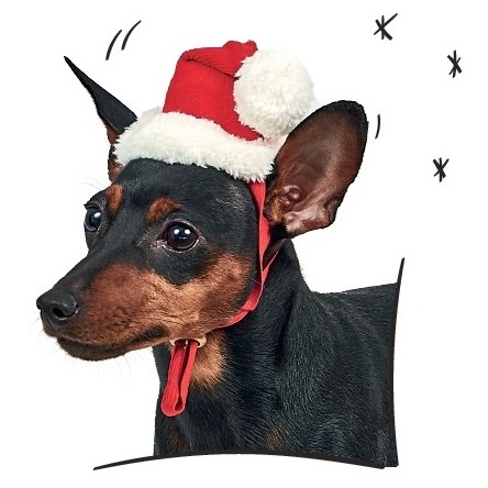 купить Колпак новогодний Pet Fashion