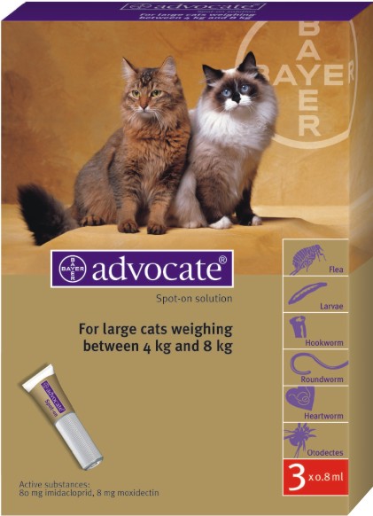 купить Advocate  капли для кошек весом от 4 кг до 8 кг (1 пипетка)