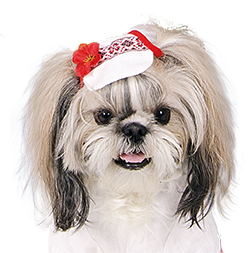 купить Кепка льняная Pet Fashion