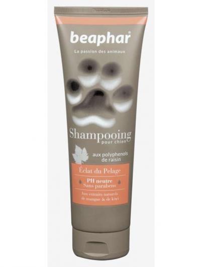 купить Шампунь Beaphar для блестящей шерсти собак