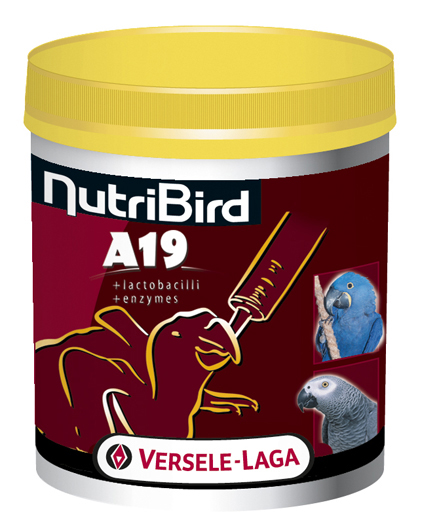 купить Молоко для птенцов крупных попугаев Versele-Laga NutriBird A19