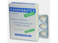 купить Каниквантель+ 1 таб
