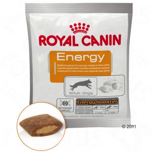 купить Лакомство для активных собак Royal Canin Energy Поощрение