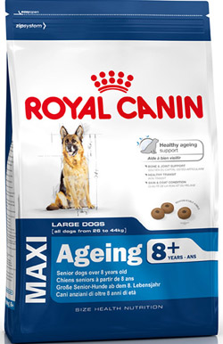 купить Сухой корм для стареющих собак крупных пород Royal Canin Maxi Ageing 8+