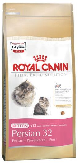 купить Сухой корм для персидских котят KITTEN PERSIAN 32