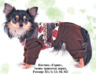 Костюм "Гарик"