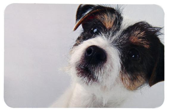 купить Коврик под миску "Dog Photo" Trixiе