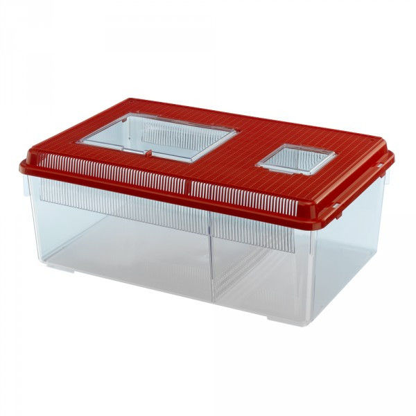 купить Террариум для рептилий GEO FLAT LARGE Ferplast