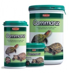 купить Gammarus корм для водных черепах