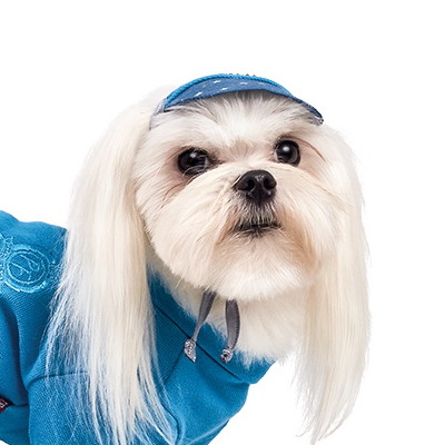 купить Кепка летняя для собак Pet Fashion