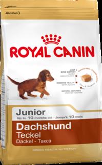 купить Сухой корм д/щенков породы таксы DACHSHUND JUNIOR