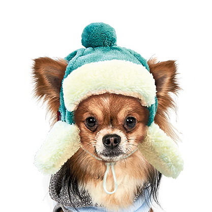 купить Зимняя шапка Pet Fashion Ушанка