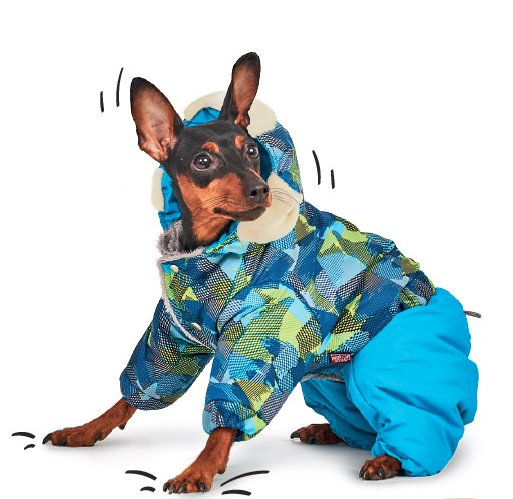 Костюм для собак "Винтаж" Pet Fashion