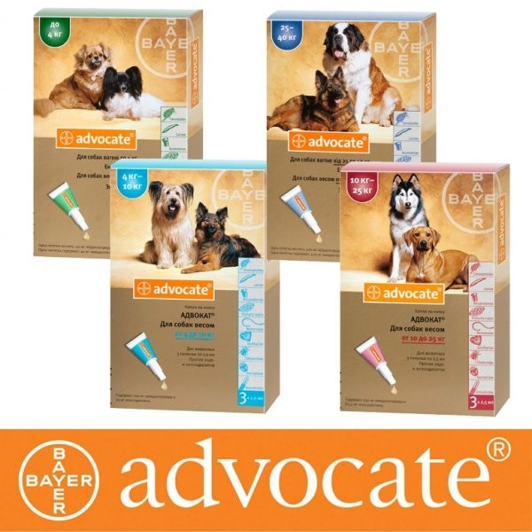 купить Капли Advocate для собак от блох и клещей Bayer