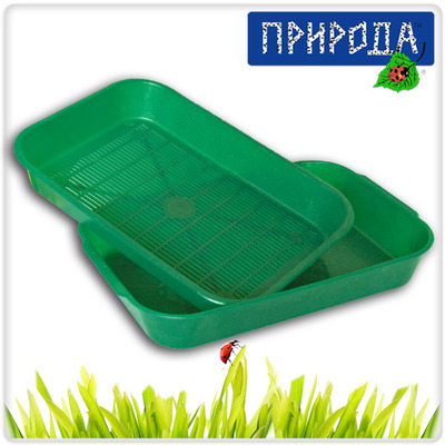 купить Туалет "Жемчужина"