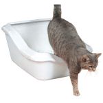 купить Туалет для кошки Trixie Cleany Cat