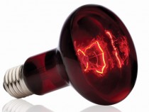 купить Лампа для террариума Exo Terra Heat Glo Infrared R25, 100 Вт
