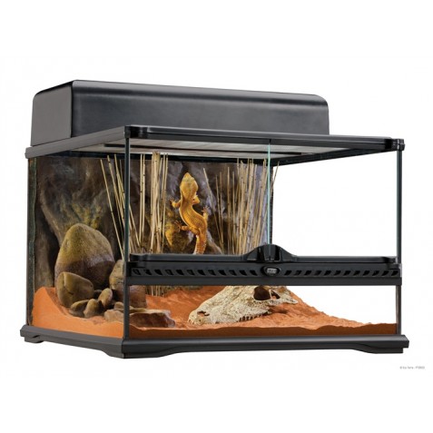 купить Террариум Exo Terra Glas terrarium, 45х45х30 см.