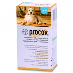 Симптомы глистов у собак