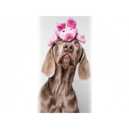 фото Игрушка для собак Gloria DogMonsters Поросёнок 36*14 см