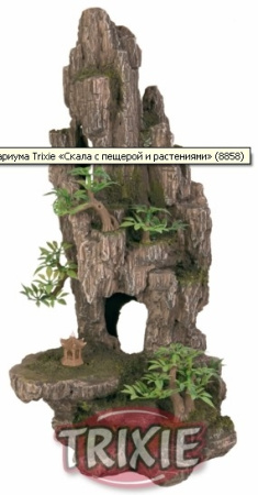 фото Декорация «Скала с пещерой и растениями»