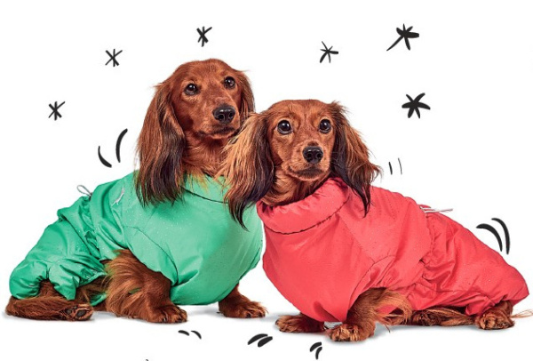 Комбинезон Pet Fashion для собак "Такса"