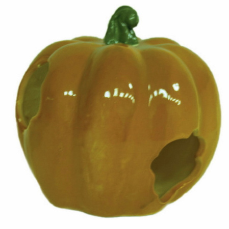 фото Домик для грызунов Тыква большая