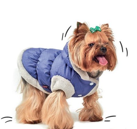 фото Жилет для собак "Бонжур" Pet Fashion