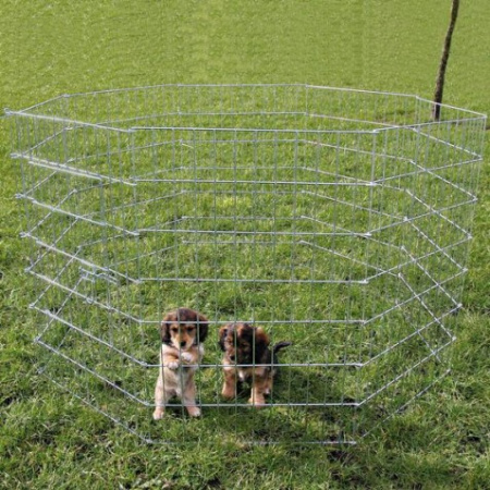 фото Вольер для собак и щенков Trixie, из 8 секций, 60х91см.