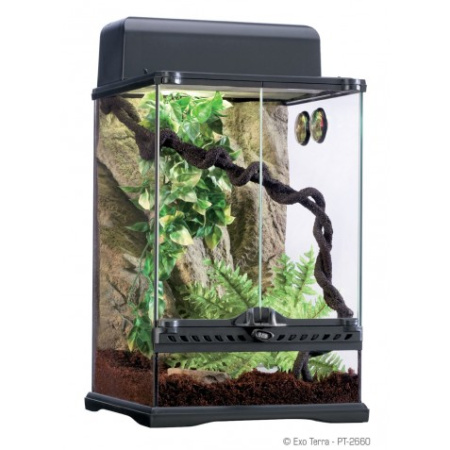фото Террариум Exo Terra Habitat Kit Rainforest Small
