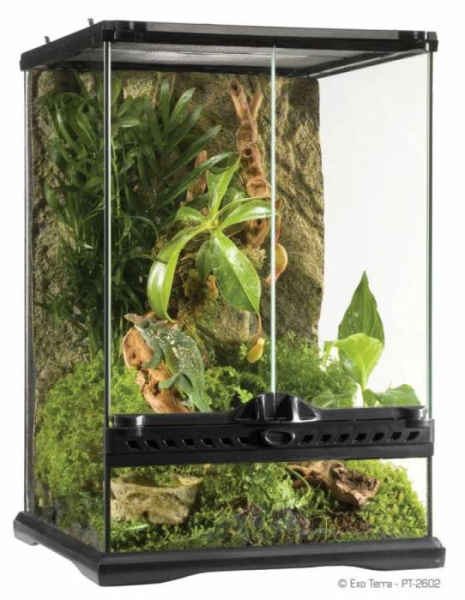 купить Террариум Exo Terra Glas terrarium, 60х45х90 см