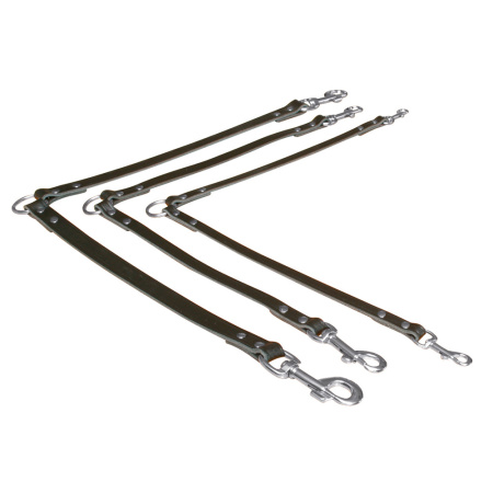 фото Поводок для двух собак