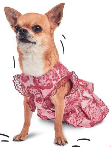 Платье для собак Pet Fashion Алиса