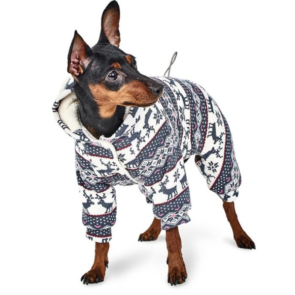 Комбинезон для собак Pet Fashion "Пегас"