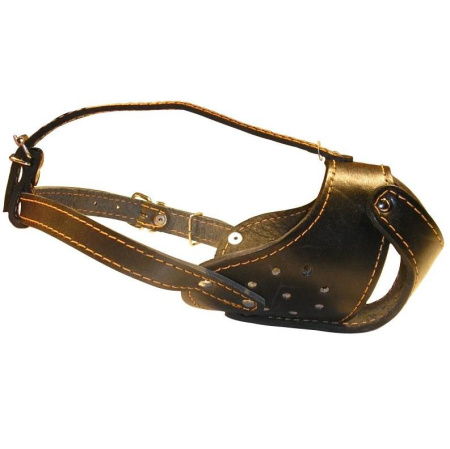 фото Намордник бультерьер для собак Collar