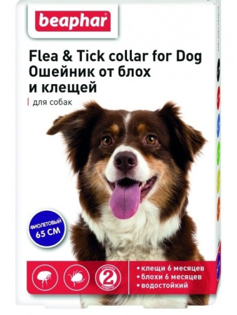 фото Ошейник для собак от блох и клещей Beaphar (фиолетовый)