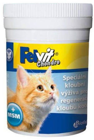 фото Фельвит Хондро с МСМ