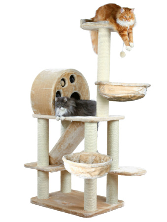 фото Домик-когтеточка для кошки Allora Trixie