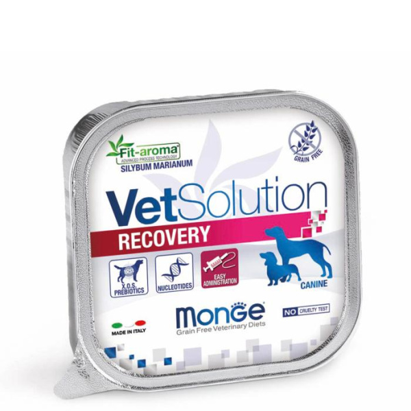 купить Лечебный корм для собак Monge Vetsolution Recovery Canine 150 гр