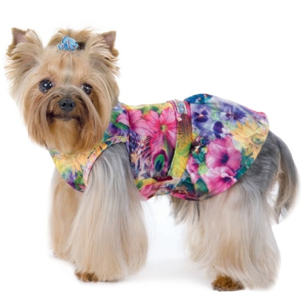 Платье для собак Pet Fashion Камелия