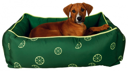 фото Темно-зеленый лежак для собак Fresh Fruits