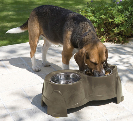 фото Подставка с мисками для собак Ergo Feeder