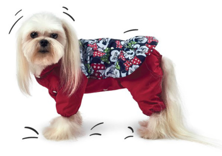 фото Дождевик для собак Природа "Лилу"