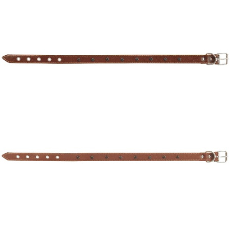 фото Ошейник кожа с украшениями