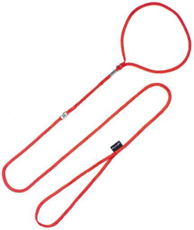фото Выставочный неолоновый поводок ринговка Gloria 8мм*120 см красный